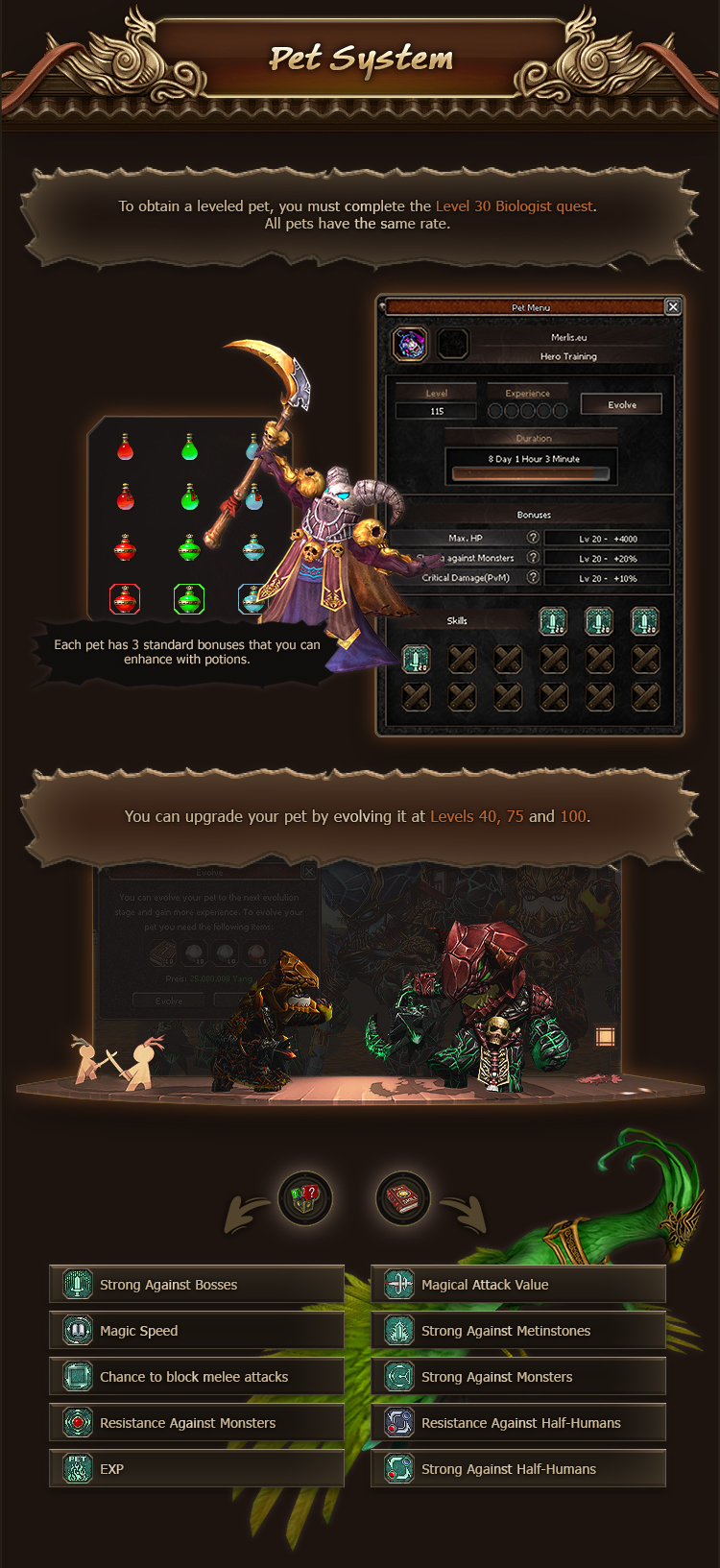 pet.jpg
